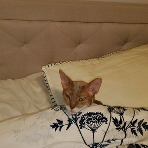 Meet your Posher, Jennifer